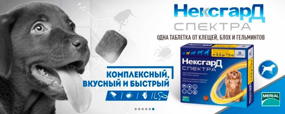 1507207560 nexgard spectra banner 1200x482