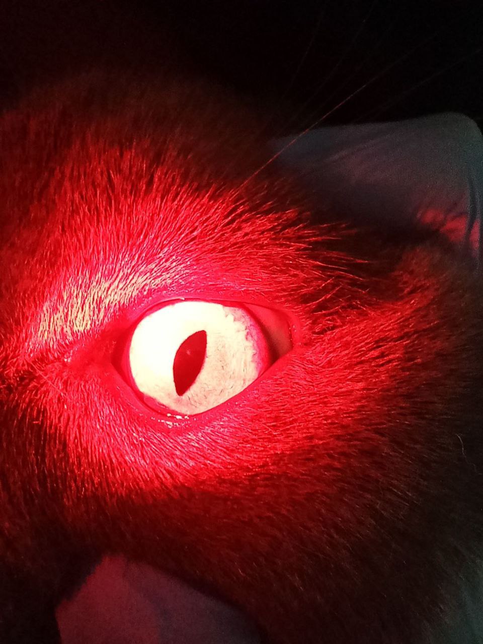 photo 2023 04 08 17 15 01