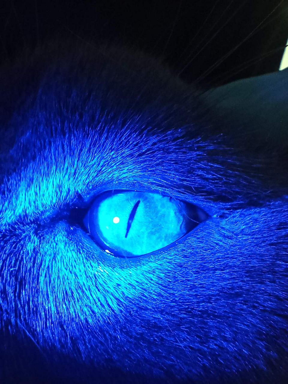 photo 2023 04 08 17 15 01 2