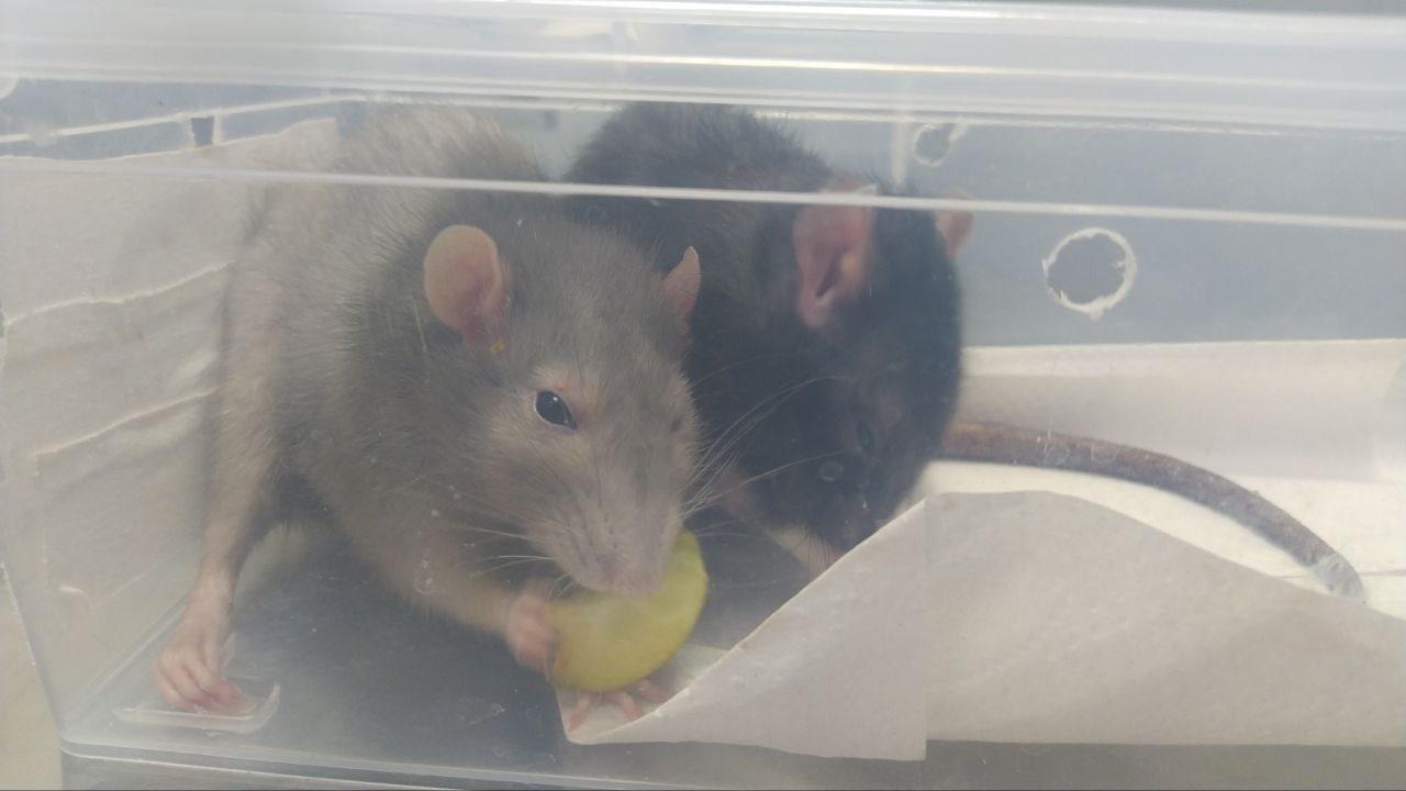 photo 2023 08 05 19 01 54 3