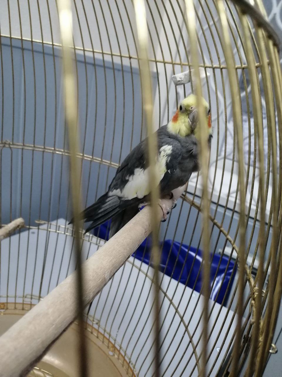 photo 2023 08 05 19 01 55