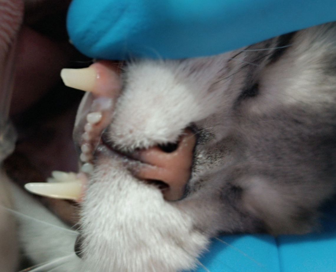 photo 2024 08 14 19 12 49