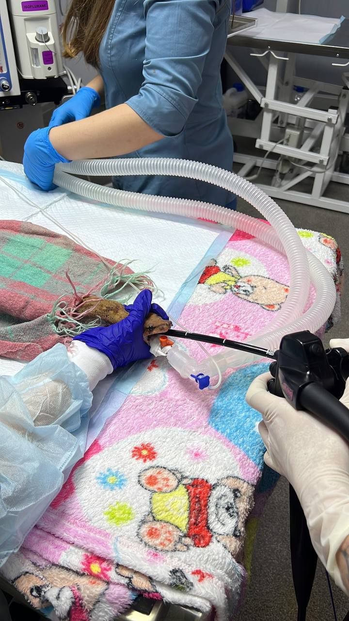 photo 2024 08 23 14 29 14