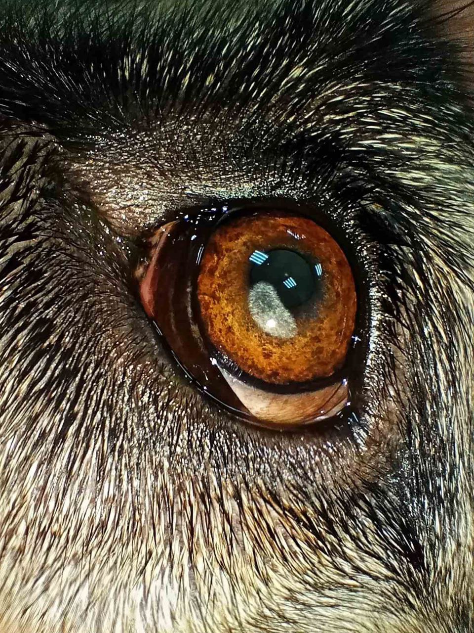 photo 2023 05 11 07 41 32