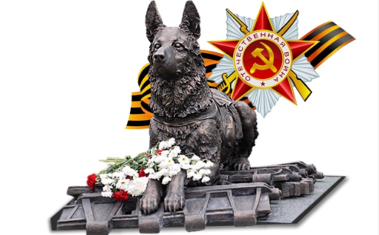9 мая
