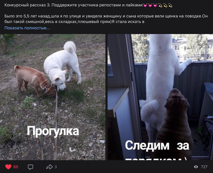 IMG aeb9b80137eb086d4d6e2876601612b1 V