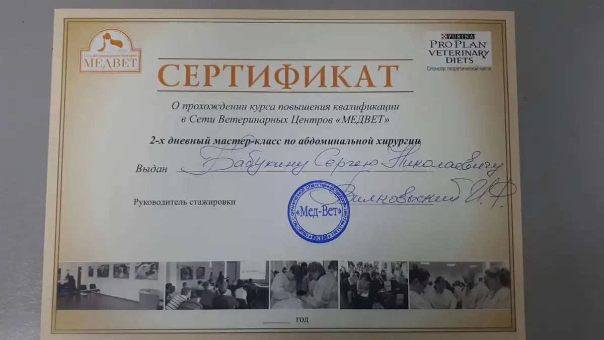 certificates_babuhin_02