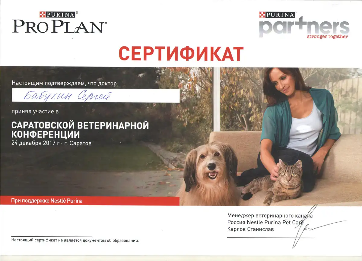 certificates_babuhin_03