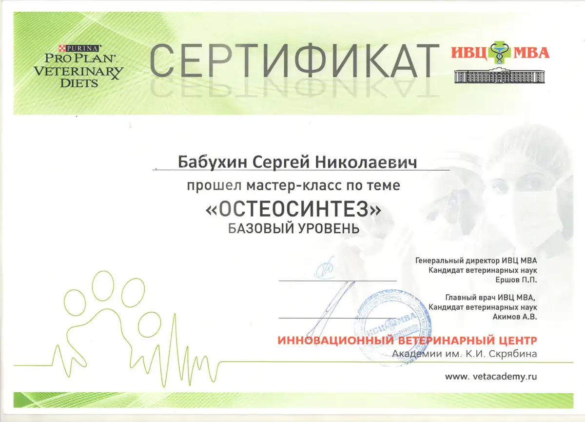 certificates_babuhin_04