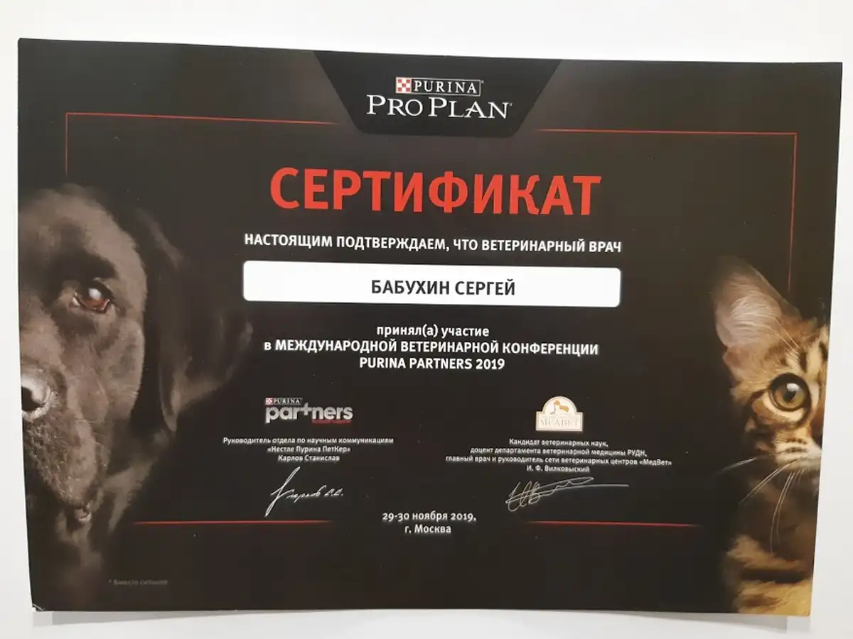 certificates_babuhin_06