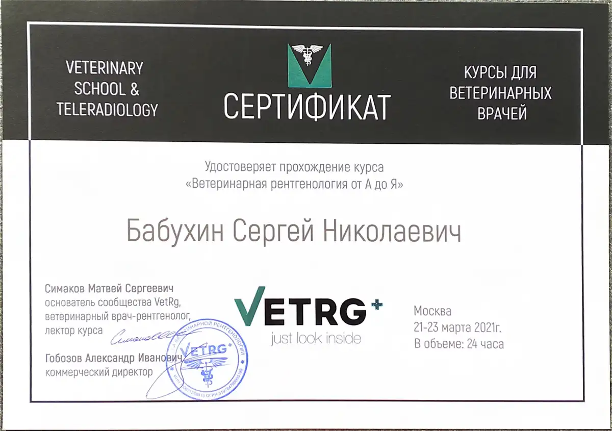 certificates_babuhin_08