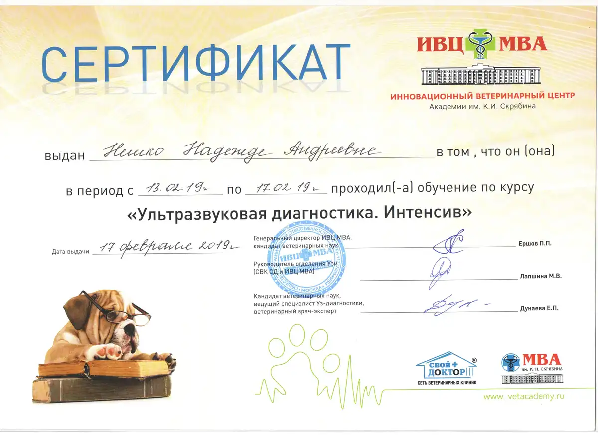 certificates_neshko_01