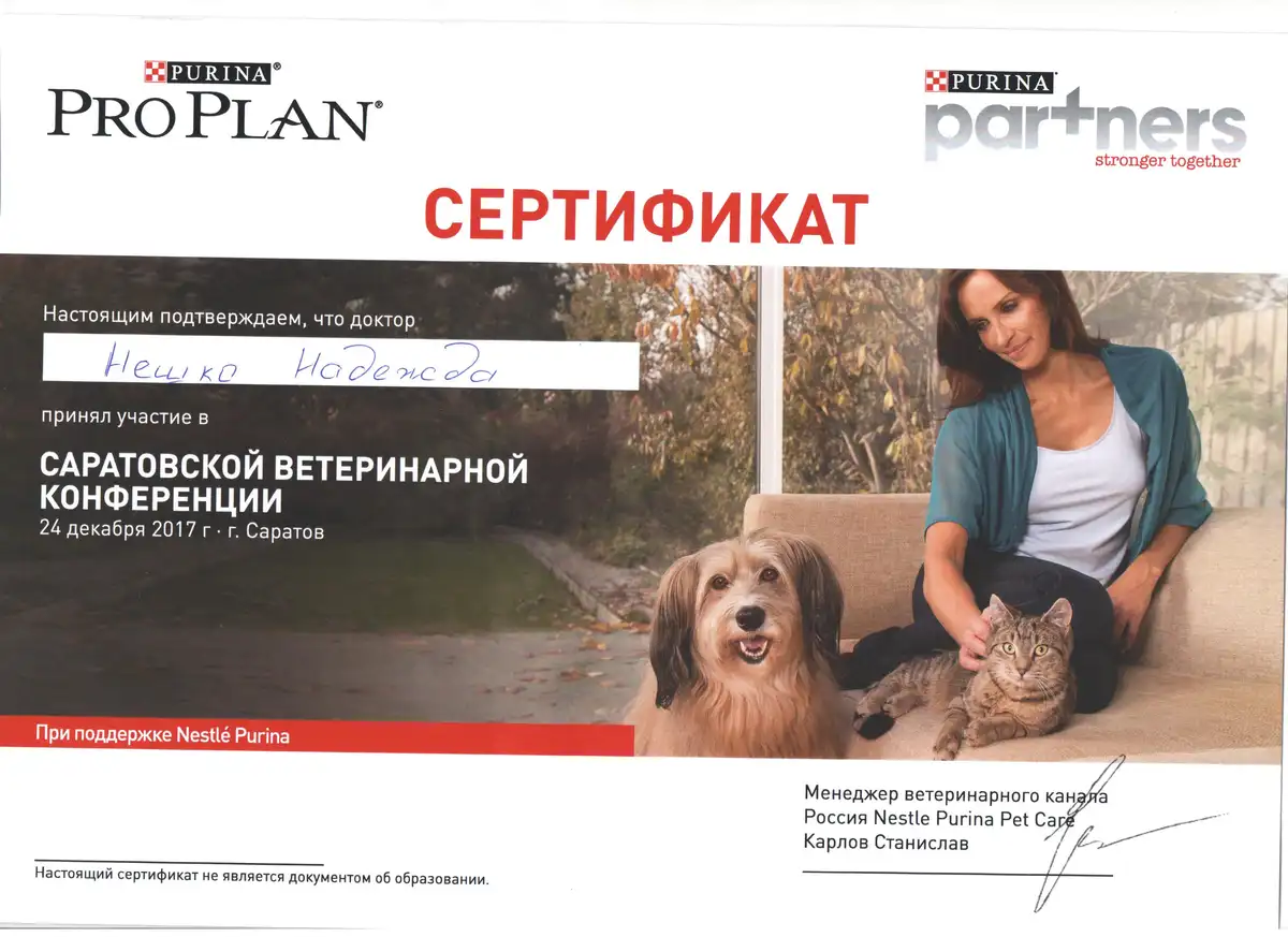 certificates_neshko_013