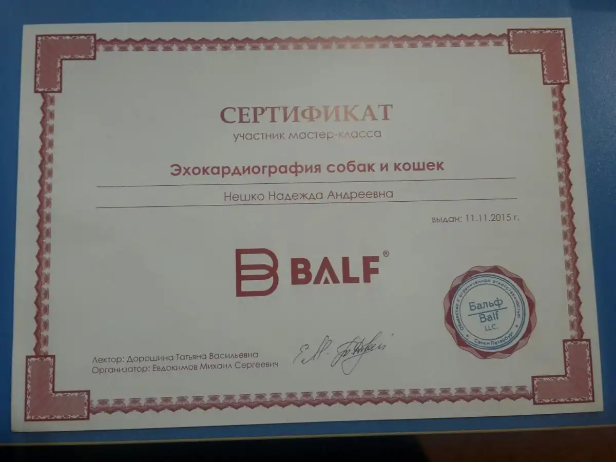 certificates_neshko_014