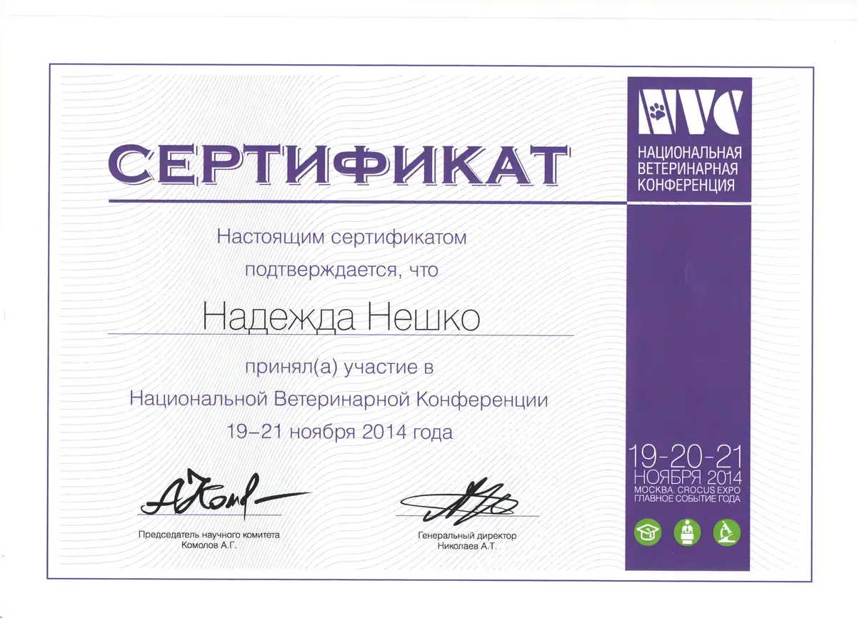 certificates_neshko_015