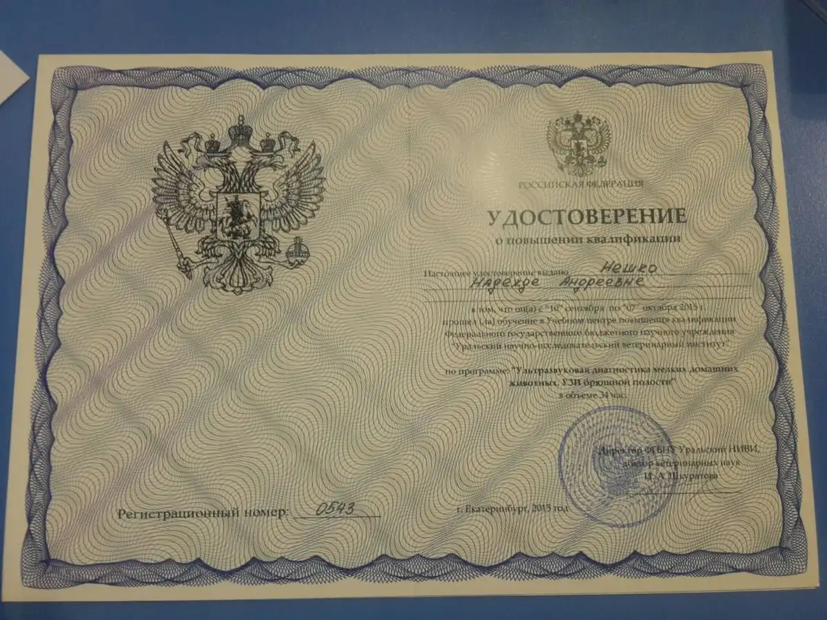 certificates_neshko_016