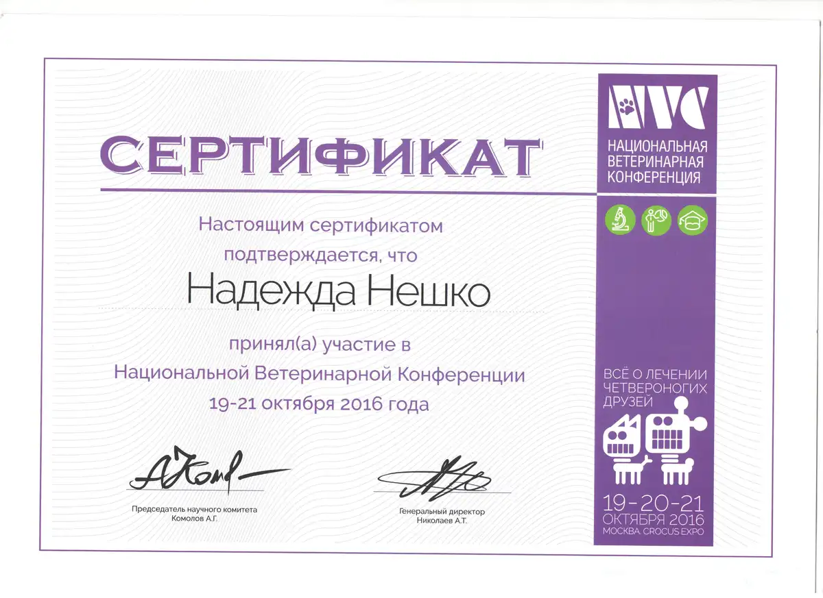 certificates_neshko_017