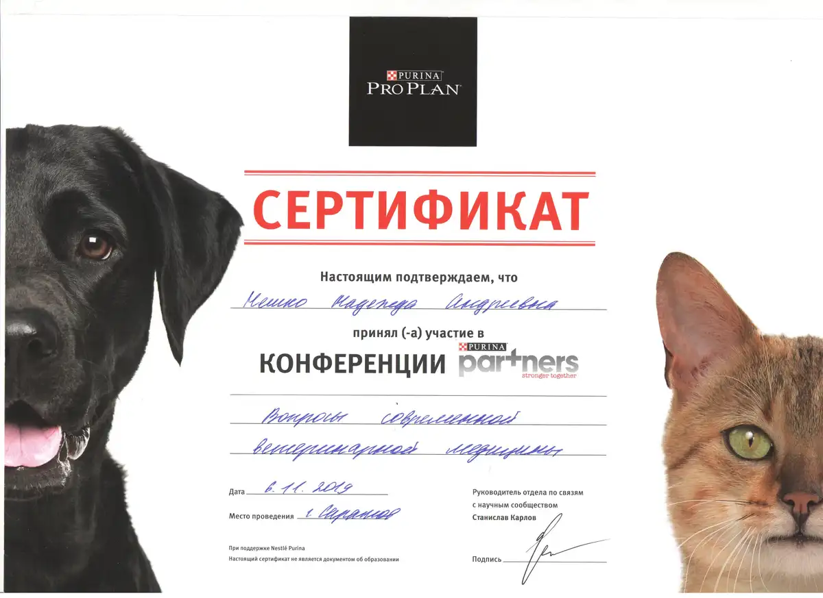 certificates_neshko_018