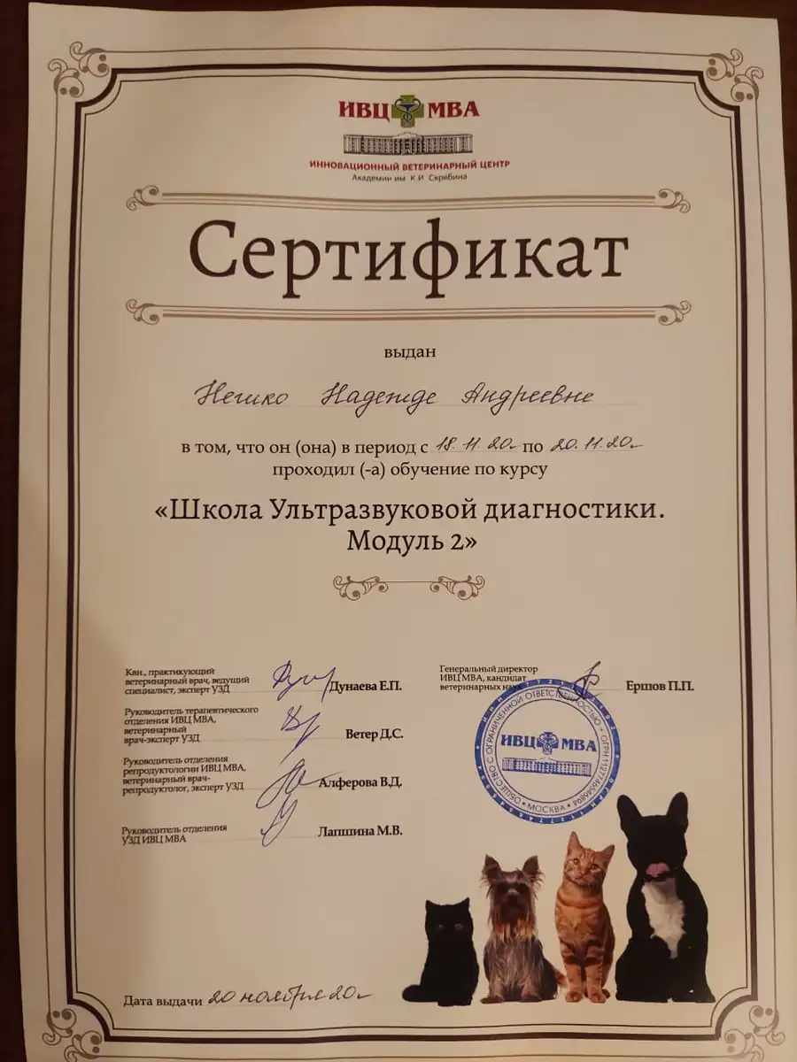 certificates_neshko_03