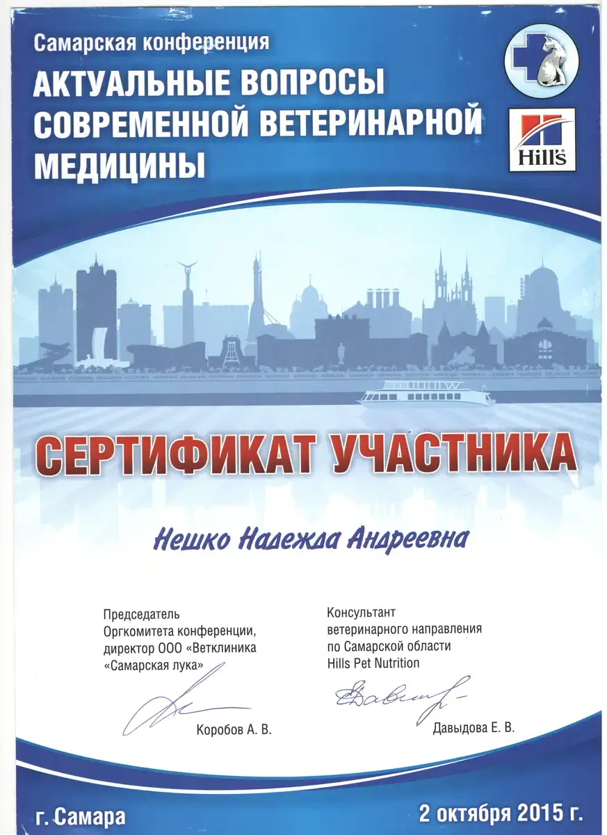 certificates_neshko_04