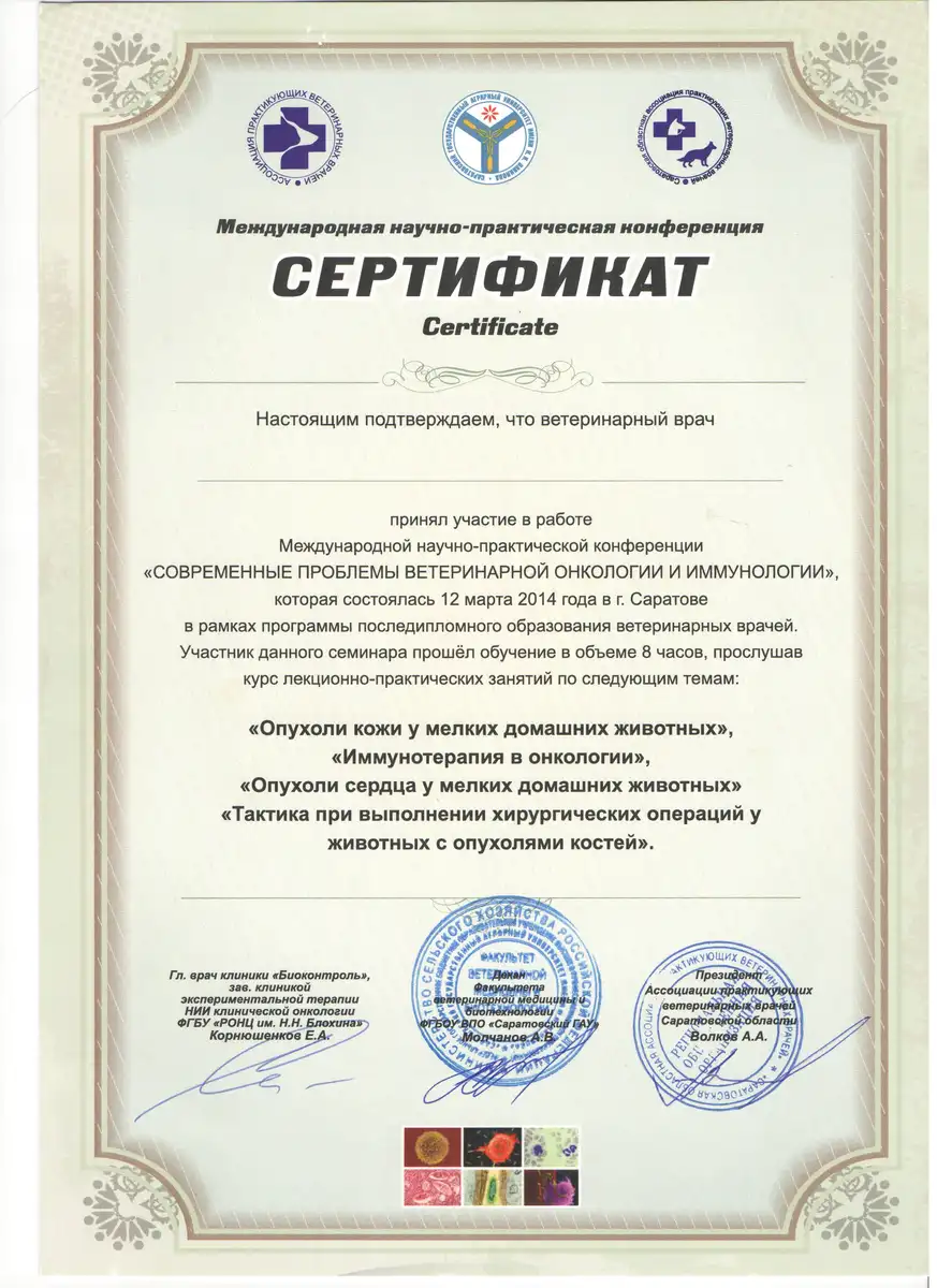certificates_neshko_07