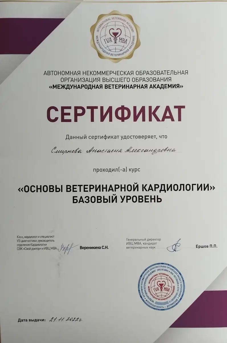 certificates_smirnova_010