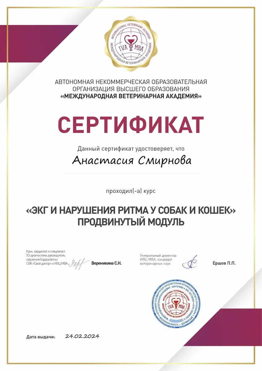 certificates_smirnova_011