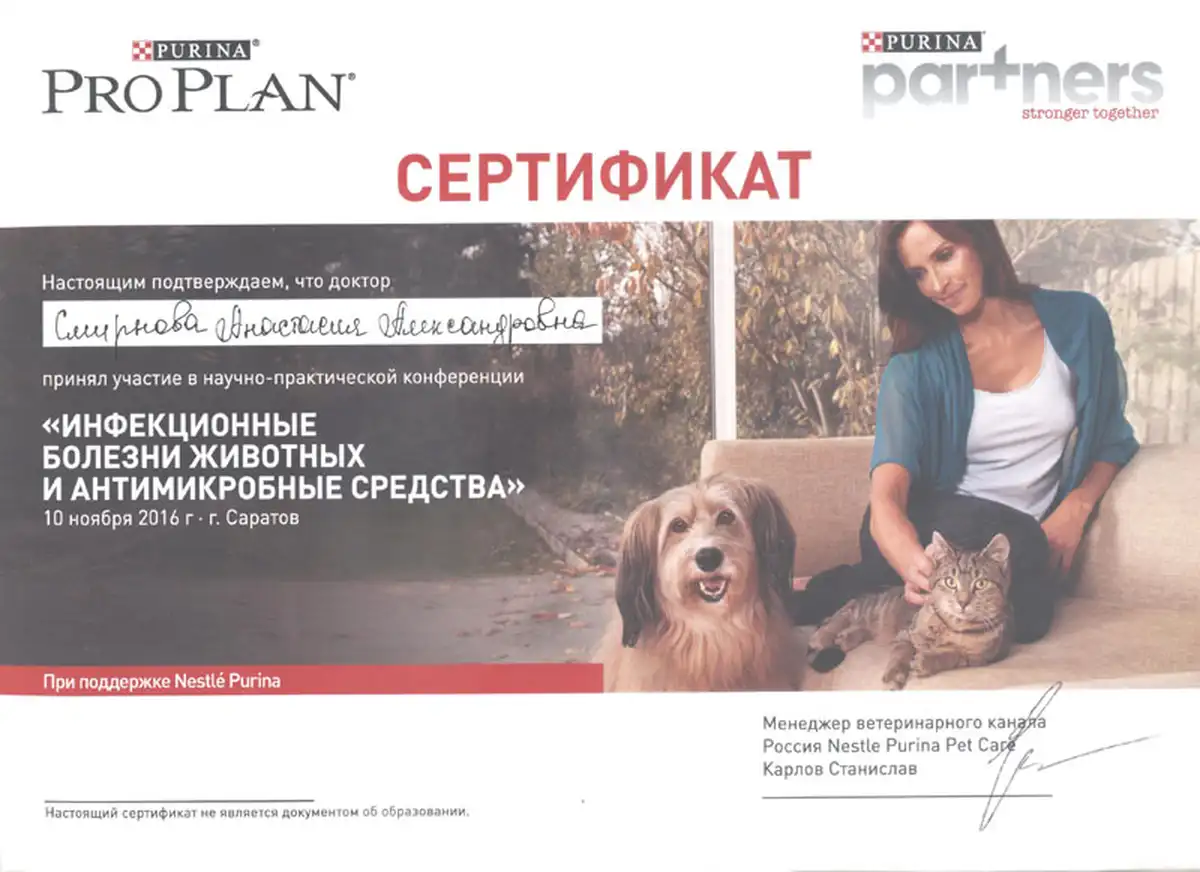 certificates_smirnova_04