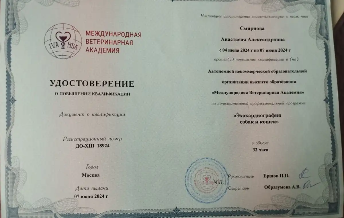 certificates_smirnova_08