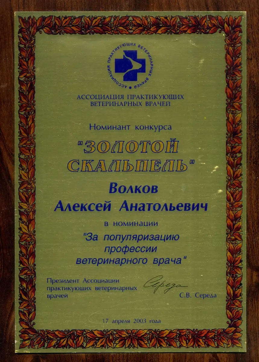 certificates-volkov-014