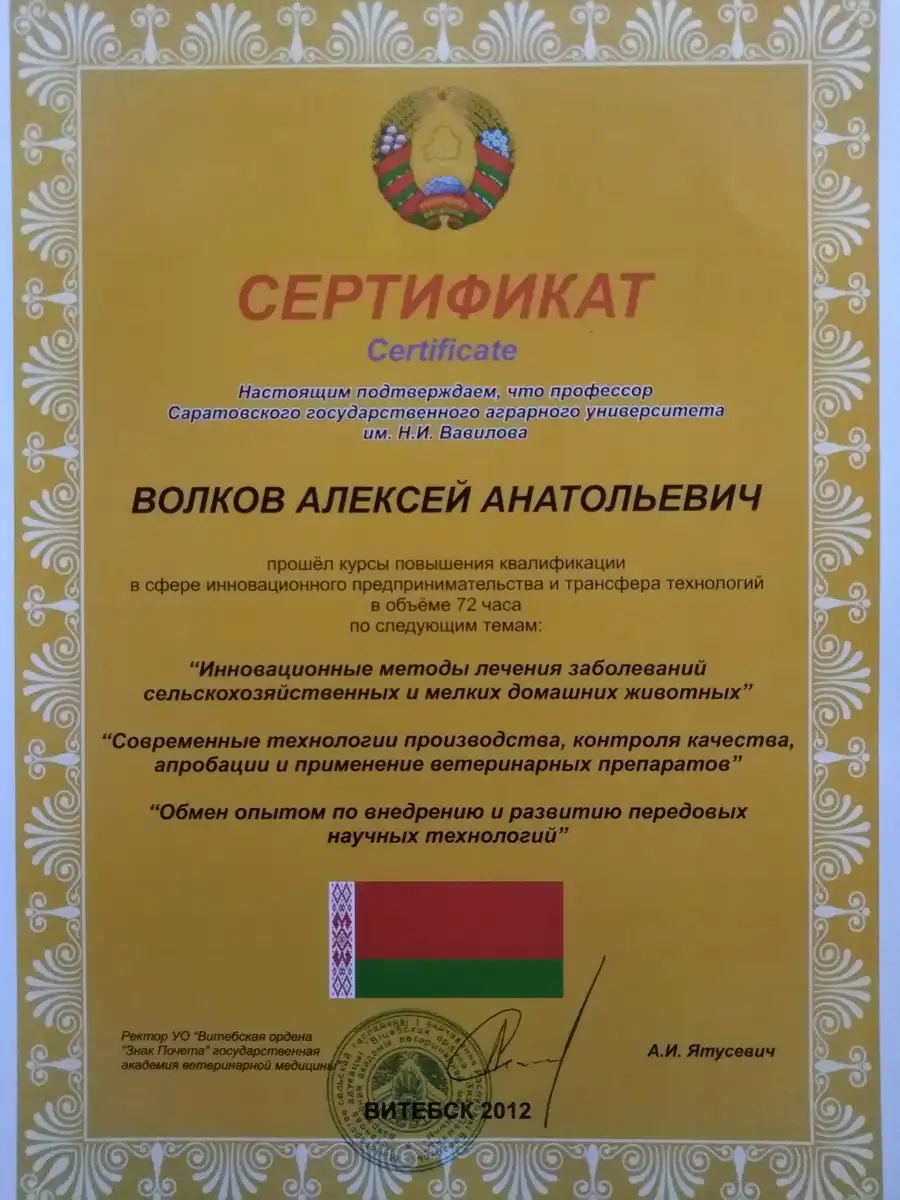 certificates-volkov-019