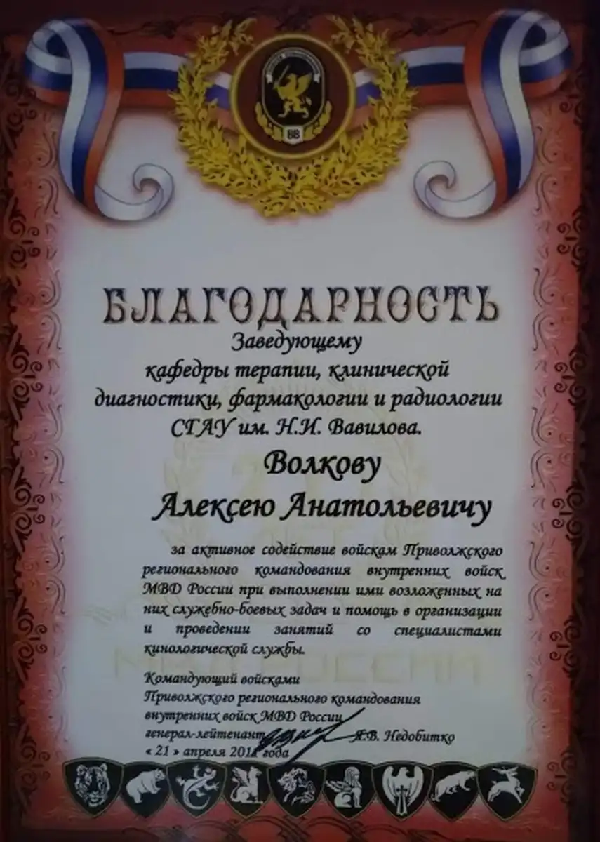 certificates-volkov-024