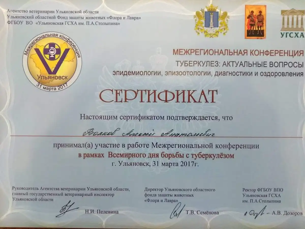 certificates-volkov-038