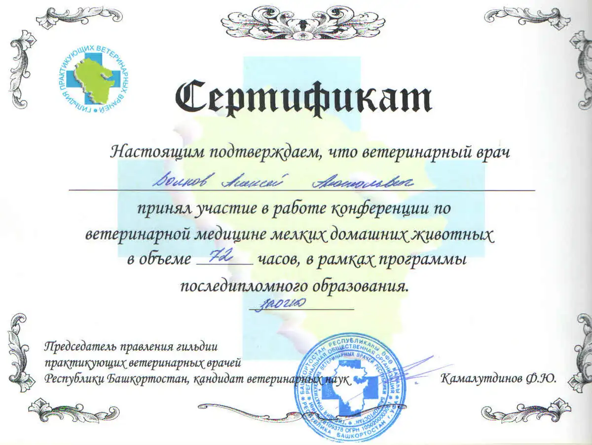 certificates-volkov-039