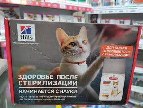 Хиллс 123