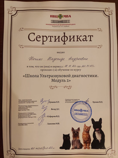 ивцНешкосерт