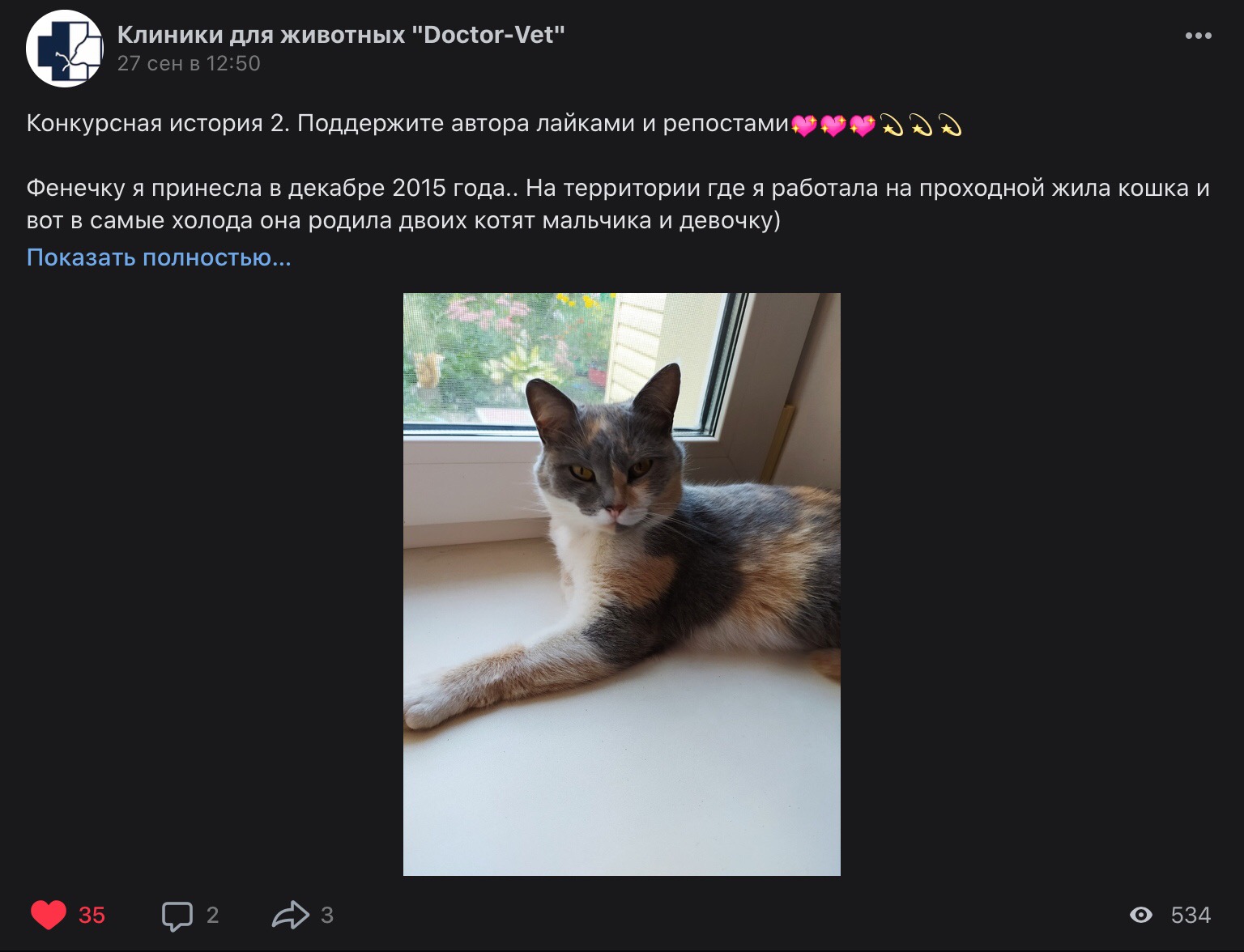 изображение viber 2020 10 06 10 00 44