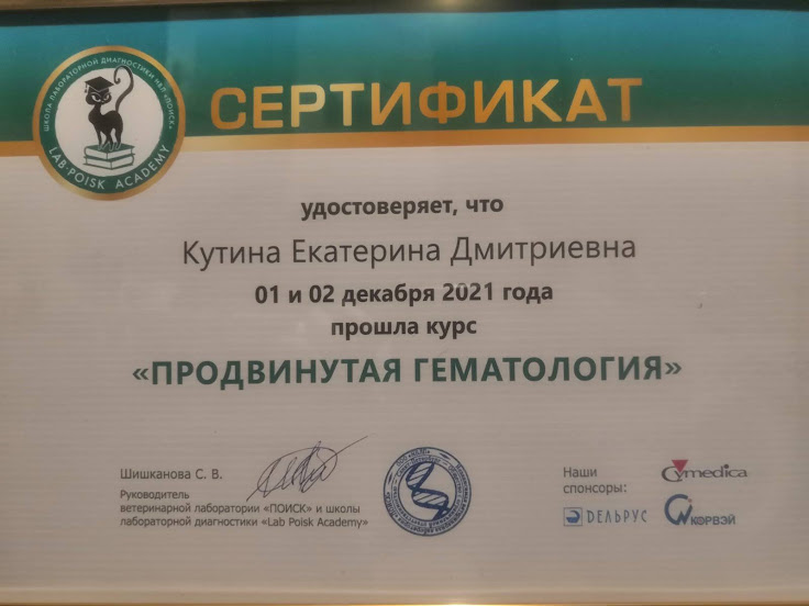 кутинасертификат