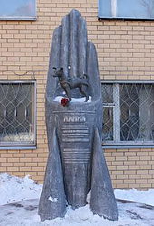 лайка 1